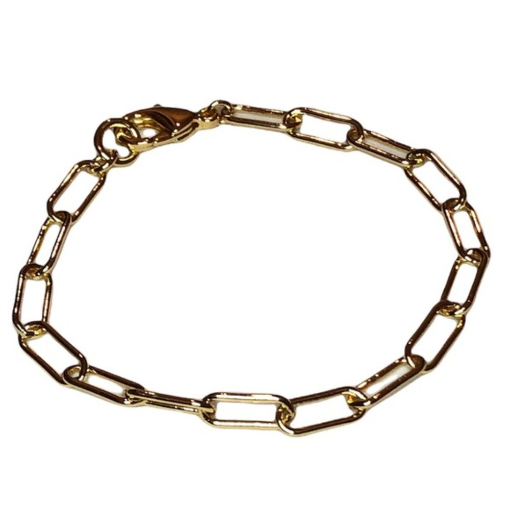 NWT ADORNIA 14K Gold Plated Paper Clip Chain Bracelet